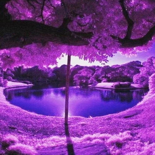 Rest In Purple feat. Lorine Chia prod by Bongo By The Way