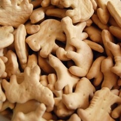 ANIMAL CRACKERS ft. Don Cook, RG, & Scum Jones