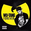 Drake Wu Tang Forever Instrumental Mp3