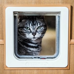 Ramblin' Tramplin' Blues (demo mix)