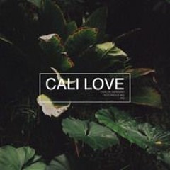 The Notorious BIG Vs. MØ - Cali Love (Carlos Serrano Mix)