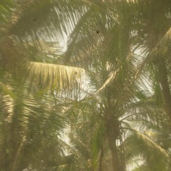 SP compilation tape choices