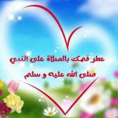 الشيخ محمد الشنقيطي