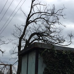 radioerevan_2016-04-23_universsounds