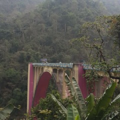 Bridge Aviary