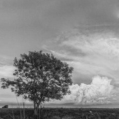 HERDER - Opening @ 7 Years of EX!T - Ritter Butzke, Berlin 2016-04-16