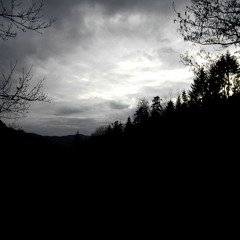 Innerwoud & Karen Willems - Morgenvonk