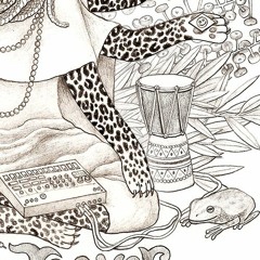 MRG161 | II. Trippin Jaguar - Mari (Original) preview