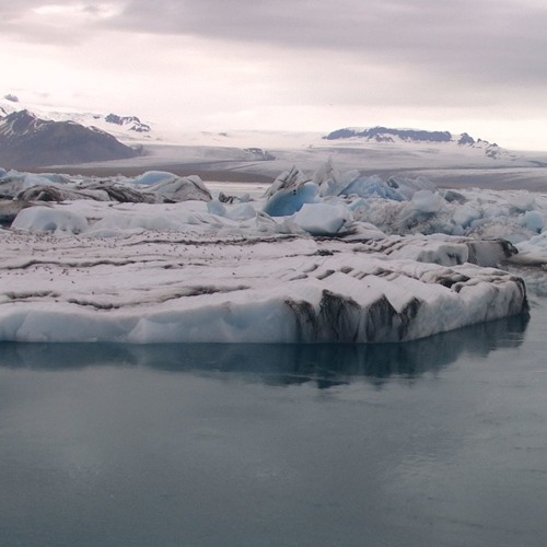 《我們都假借了生存之名》demo