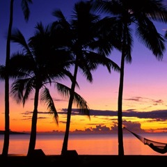 Patrick Schade - Flowers