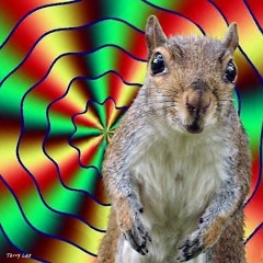 Voll DJ - Turbo Squirrel Mix