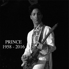 Prince Tribute
