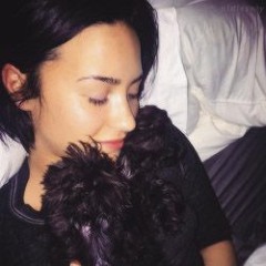 ed sheeran; trap queen