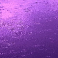 Purple Rain