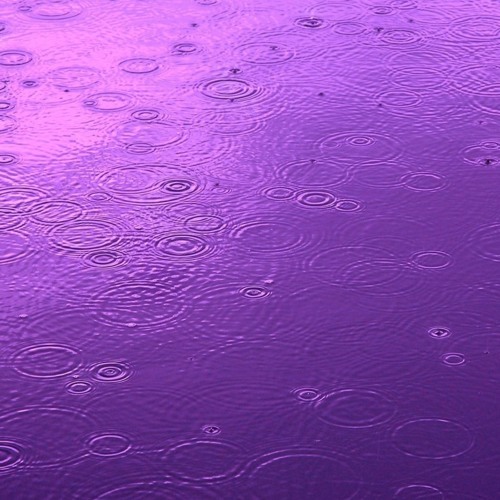 Purple Rain