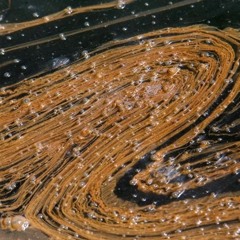 Fizzla meets Bademah - The Wave (wip)