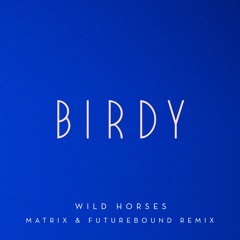Birdy - Wild Horses - Matrix & Futurebound Remix