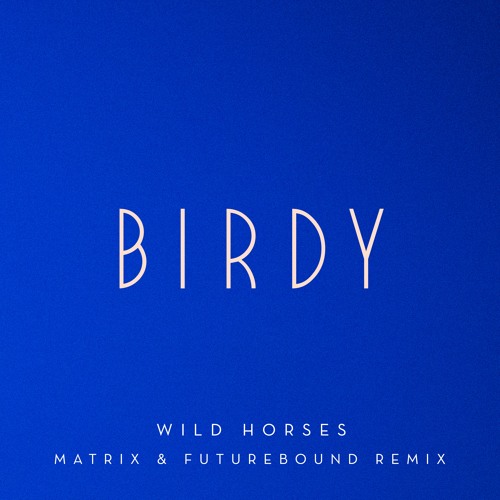 Birdy - Wild Horses - Matrix & Futurebound Remix