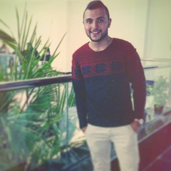 أحمد عامر حنين ومهرجان الحياة  2016 # عبسلام