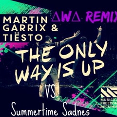 Martin Garrix, Tiesto Vs Lana Del Rey - The Only Way Is Up Vs Summertime Sadness (ΔWΔ MASHUP)