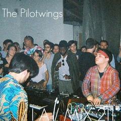 IA MIX 211 The Pilotwings