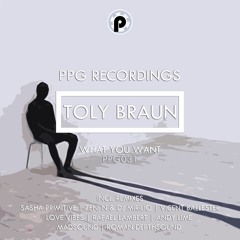 Toly Braun - What You Want (Madsound Remix)