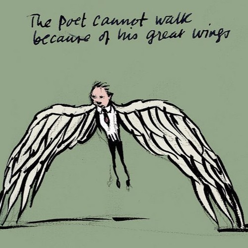 a bridge for the birds