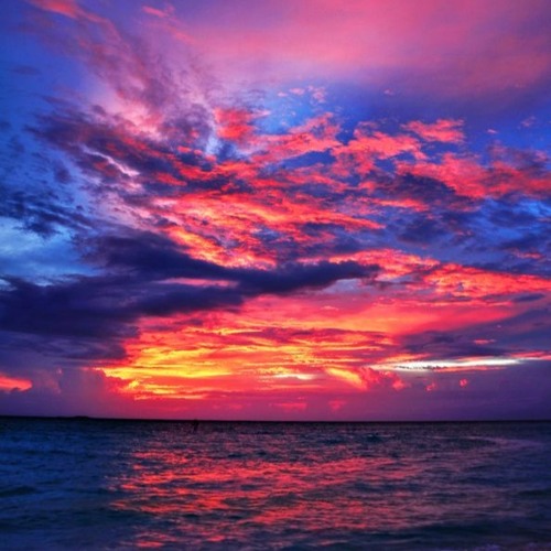 Fire Island - Elov8  (FREE DOWNLOAD)