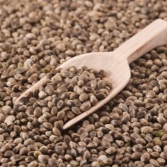 Monsanto, Your Company Is Going T Die! Now! But In Peace...