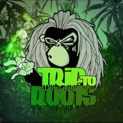 Tribe/D&B/Raggatek
