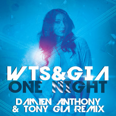 WTS Ft Gia- One Night (Damien Anthony & Tony Gia Dub Remix)