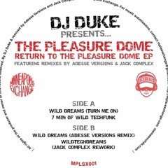 B1 DJ DUKE Wild Dreams Adesse Versions Remix