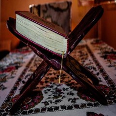ما تيسر من سورة البقرة بصوت القارئ طلال باكرمان