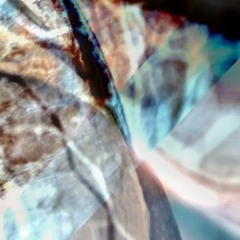 Hallucinations