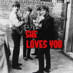 THE BEATLES - She Loves You (Cover)