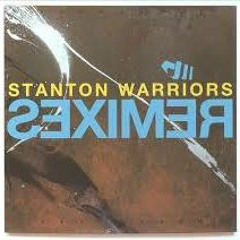 Stanton Warriors - Shake It Up (Hook n Sling Remix)