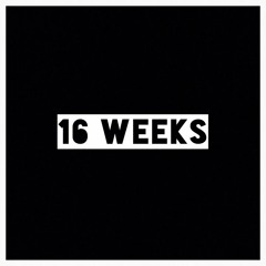 16 Weeks(demo)