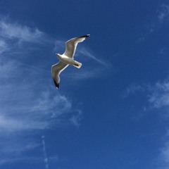 Purpel Rain Deep House SAX-Version