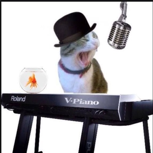 Small Potatoes Jimmie and THroDef