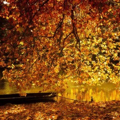 October Song