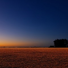 "backhome" (instrumental)