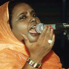 dimi mint abba experimental