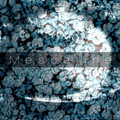 Martian trap house 👽🌌