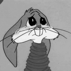 bunnymixes