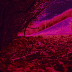 Lemonade & NumbersInTheDream - A Charm