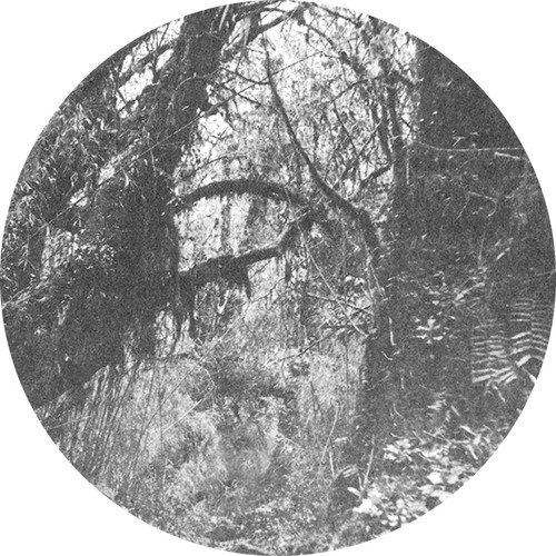 CUT#34 / Lake Mary & Nathan Wheeler - Also (excerpt)