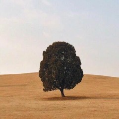 كيف نقرا الحياة ونجهل كتابها، فيصل سعود