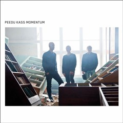 Peedu Kass Momentum - CD preview