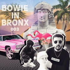 Bowie In Bronx - 003