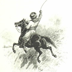 The Lonesome Cowgirl